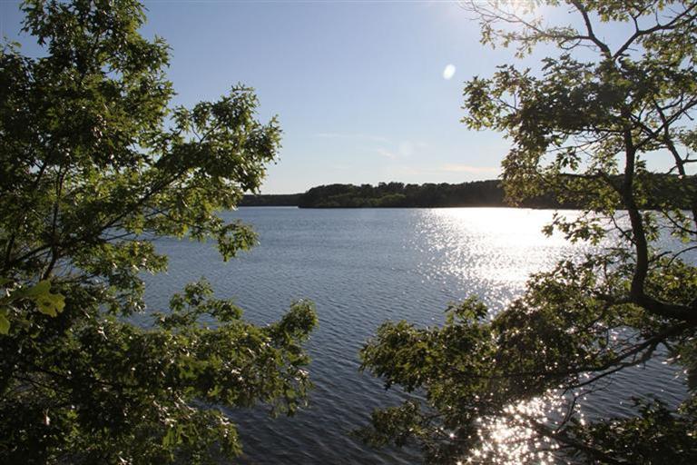 62 Turning Mill Road Brewster, MA 02631 - Photo 8 of 27 a view of a lake from a yard