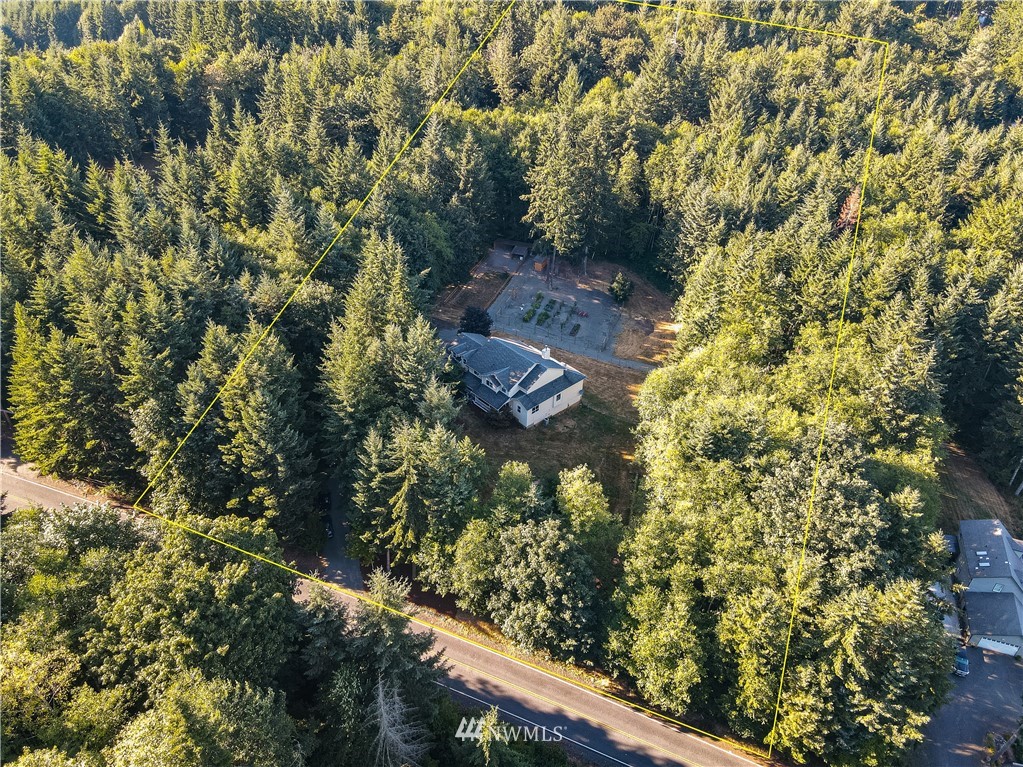 222 Crego Ridge Road Chehalis, WA 98532 - Photo 6 of 40 a view of a garden with plants