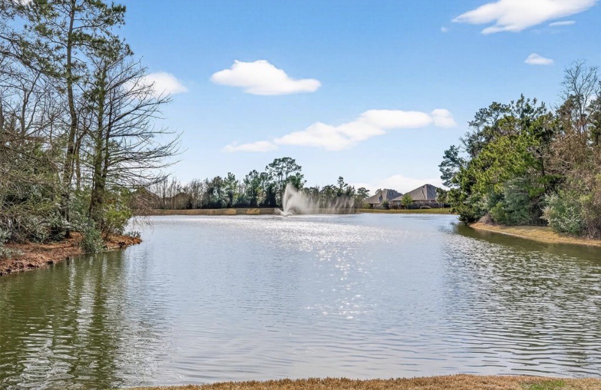 11508 Kalinago View Lane Conroe, TX 77304 - Photo 39 of 44
