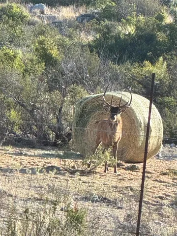 a view of front door and yard