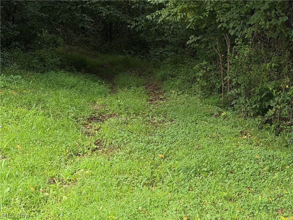 1215 California Ridge Road Belleville, WV 26133 - Photo 7 of 25 Gallery Image 7