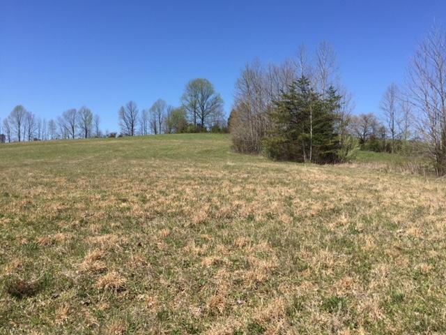 251 Ben Thompson Road Eubank, KY 42567 - Photo 5 of 16 IMG_4523