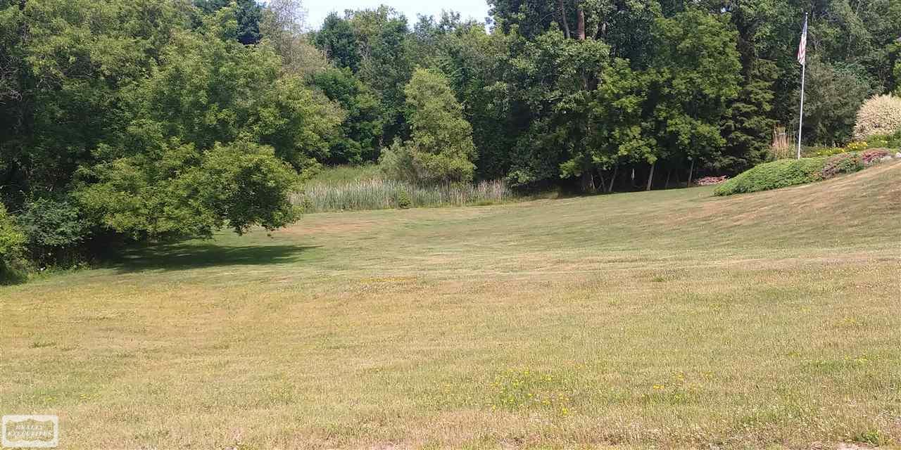 Vac Belle Ridge Drive Dryden, MI 48428 - Photo 4 of 4