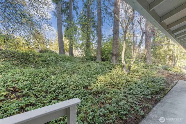 a view of a yard with plants and trees