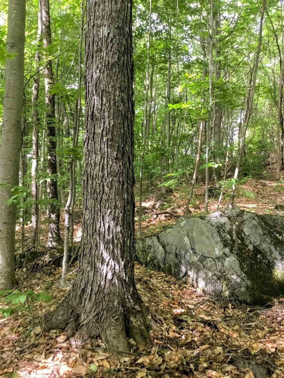 0 Edgar Albert Road Rumney, NH 03266 - Photo 2 of 12