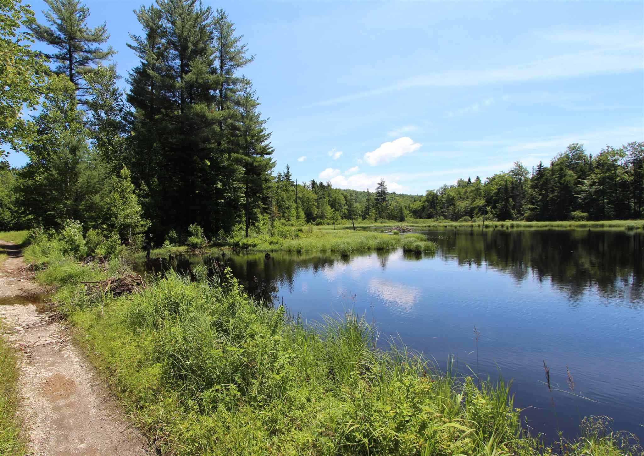 0 Edgar Albert Road Rumney, NH 03266 - Photo 12 of 12