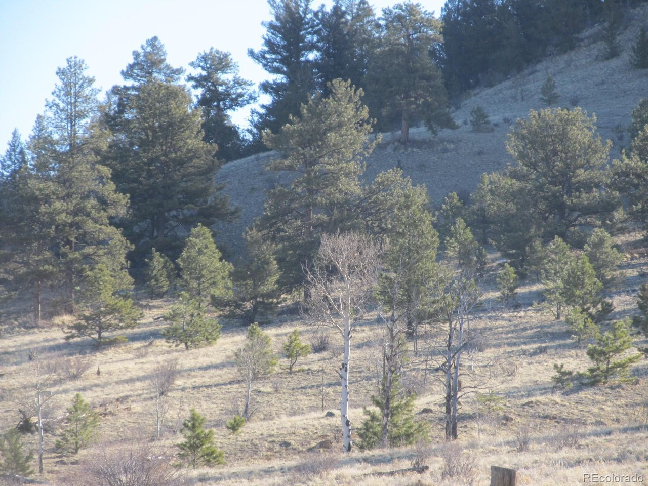 5896 Cohonina Road Hartsel, CO 80449 - Photo 1 of 13