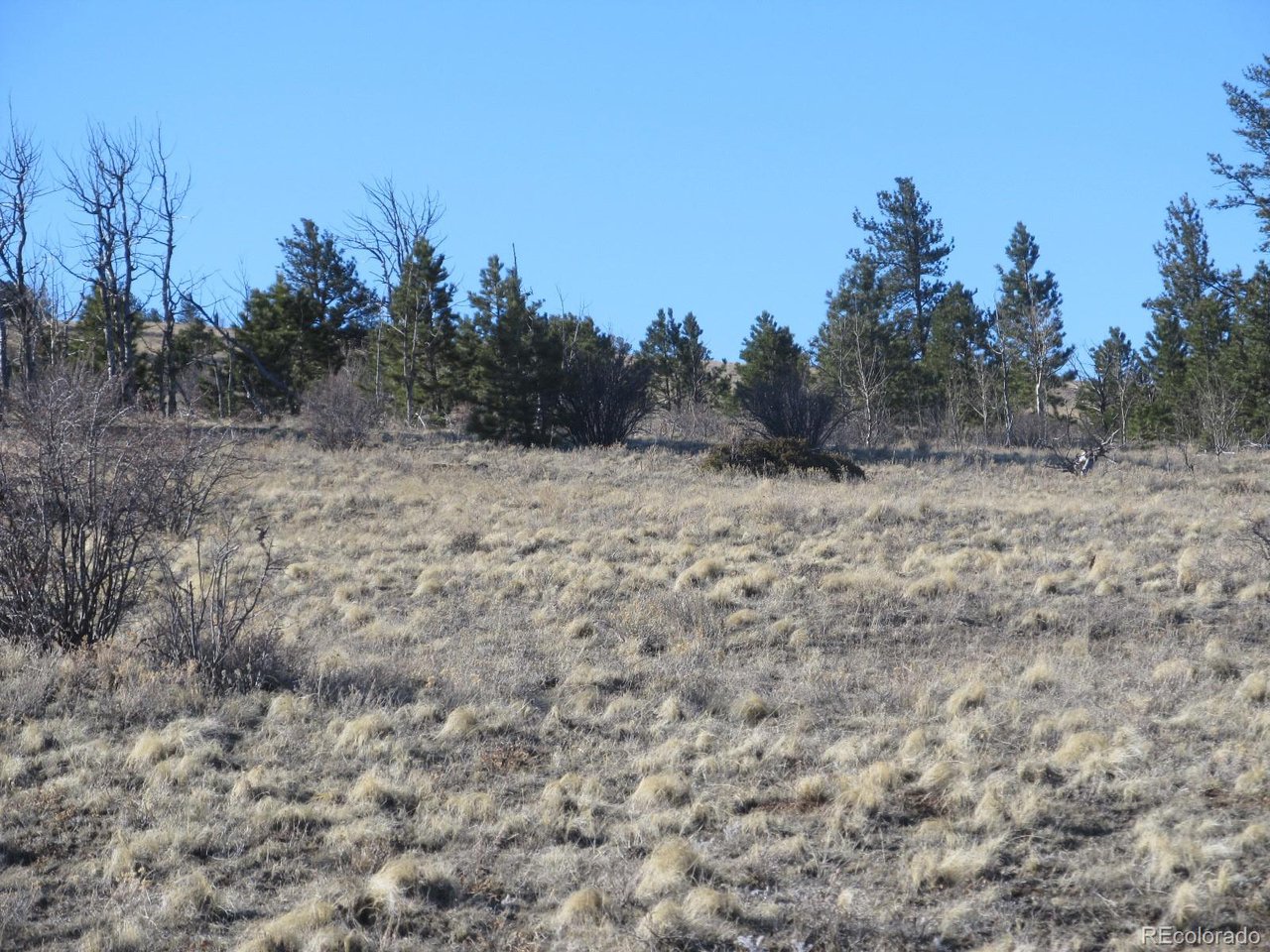 5896 Cohonina Road Hartsel, CO 80449 - Photo 11 of 13