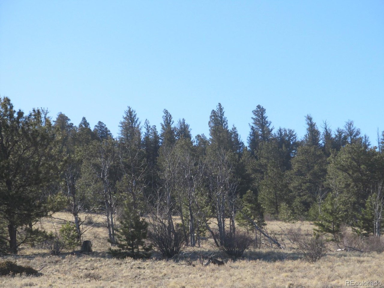 5896 Cohonina Road Hartsel, CO 80449 - Photo 12 of 13