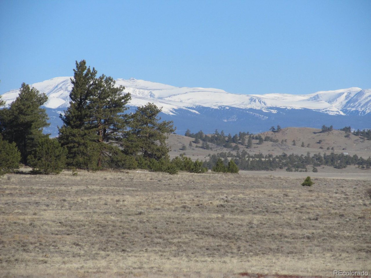 5896 Cohonina Road Hartsel, CO 80449 - Photo 2 of 13