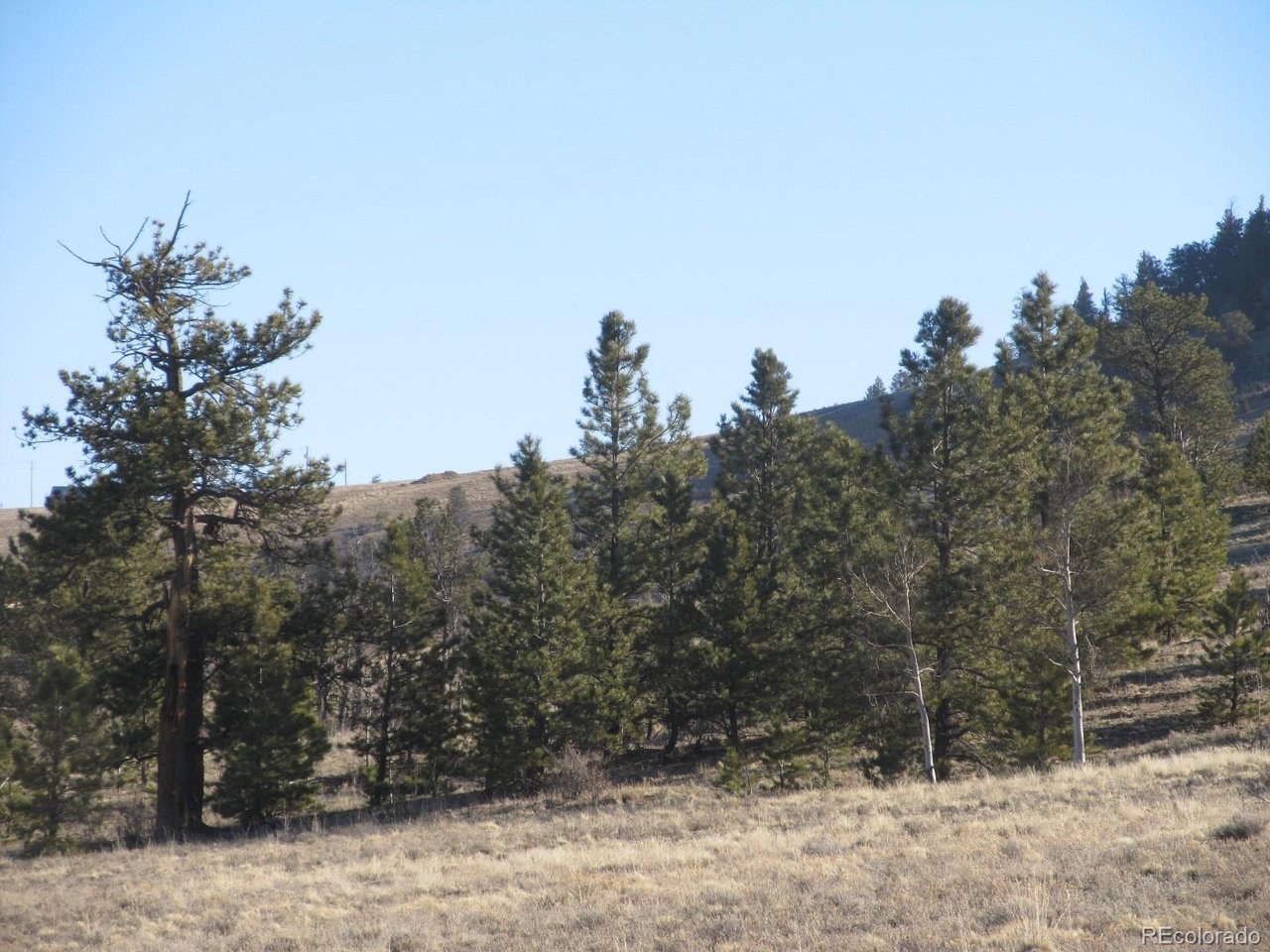 5896 Cohonina Road Hartsel, CO 80449 - Photo 3 of 13