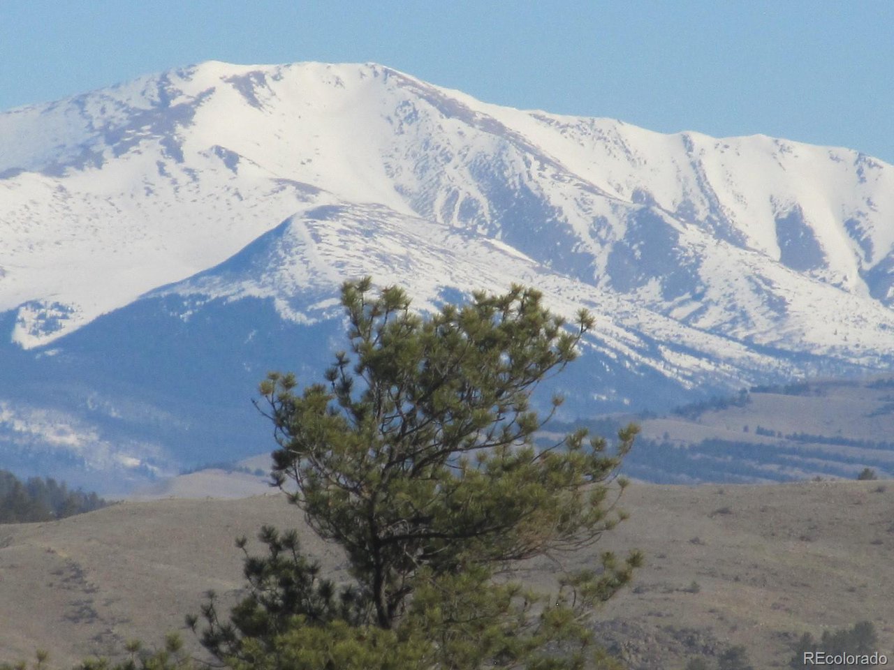 5896 Cohonina Road Hartsel, CO 80449 - Photo 4 of 13
