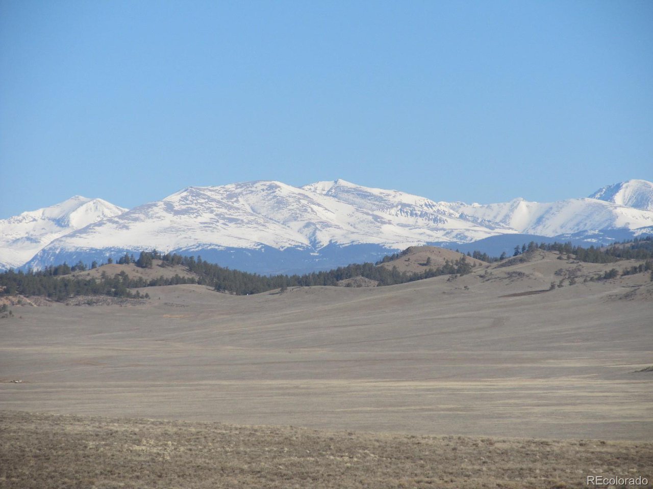 5896 Cohonina Road Hartsel, CO 80449 - Photo 5 of 13