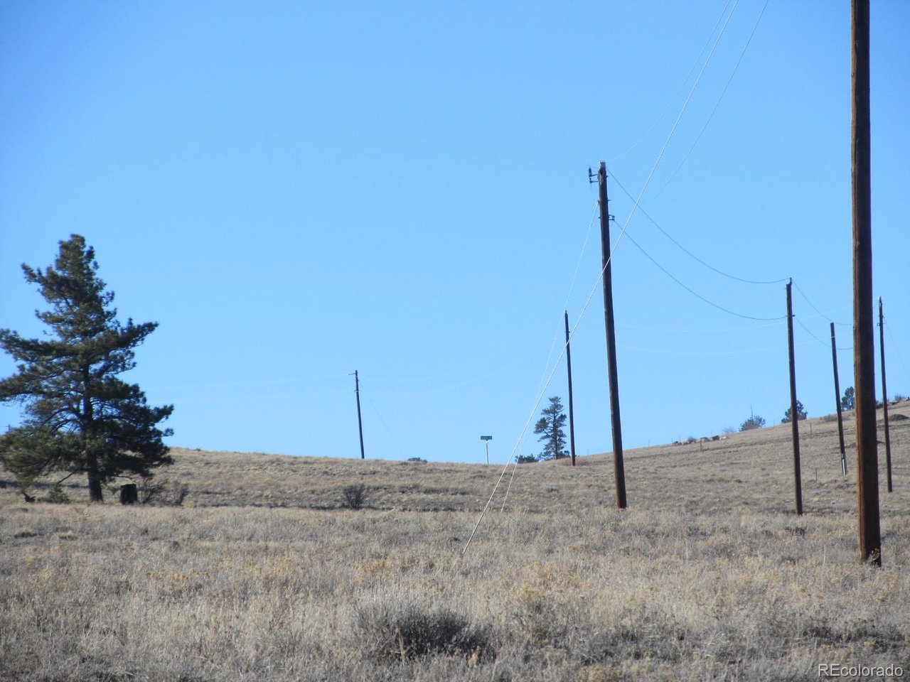 5896 Cohonina Road Hartsel, CO 80449 - Photo 7 of 13