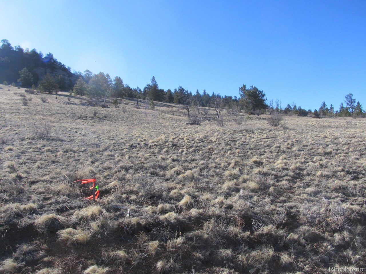 5896 Cohonina Road Hartsel, CO 80449 - Photo 8 of 13