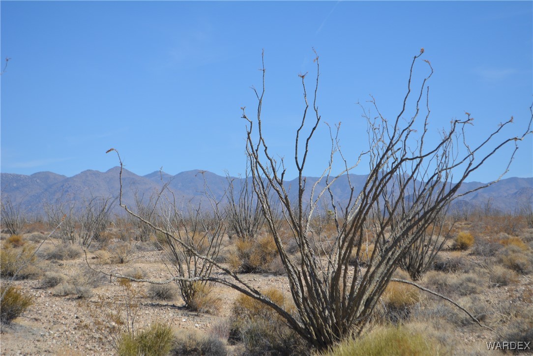245-24-107 South Rainbow Road Yucca, AZ 86438 - Photo 55 of 91