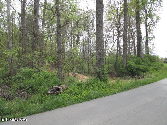 Lot 10 McBee Mill Road Blaine, TN 37709 - Photo 1 of 4 McBee Mill Lot