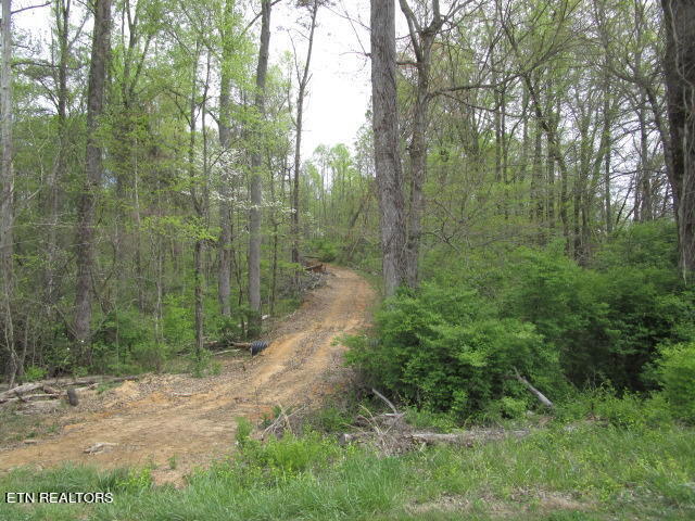 Lot 10 McBee Mill Road Blaine, TN 37709 - Photo 2 of 4 McBee Mill Lot