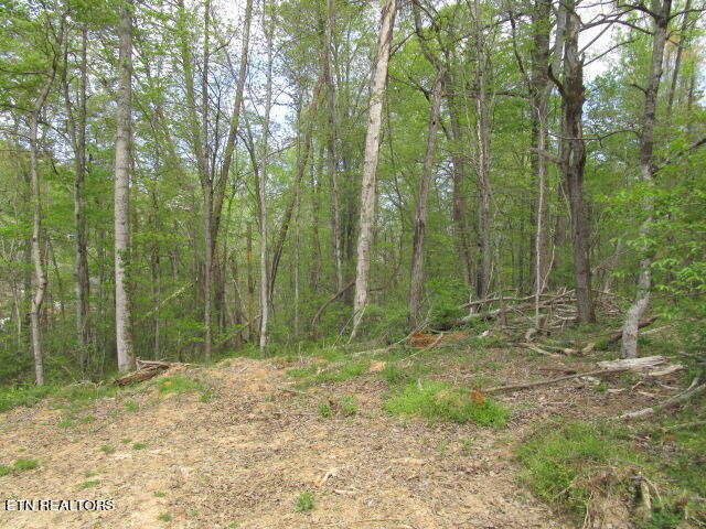 Lot 10 McBee Mill Road Blaine, TN 37709 - Photo 3 of 4 McBee Mill Lot