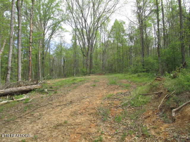 Lot 10 McBee Mill Road Blaine, TN 37709 - Photo 4 of 4 McBee Mill Lo