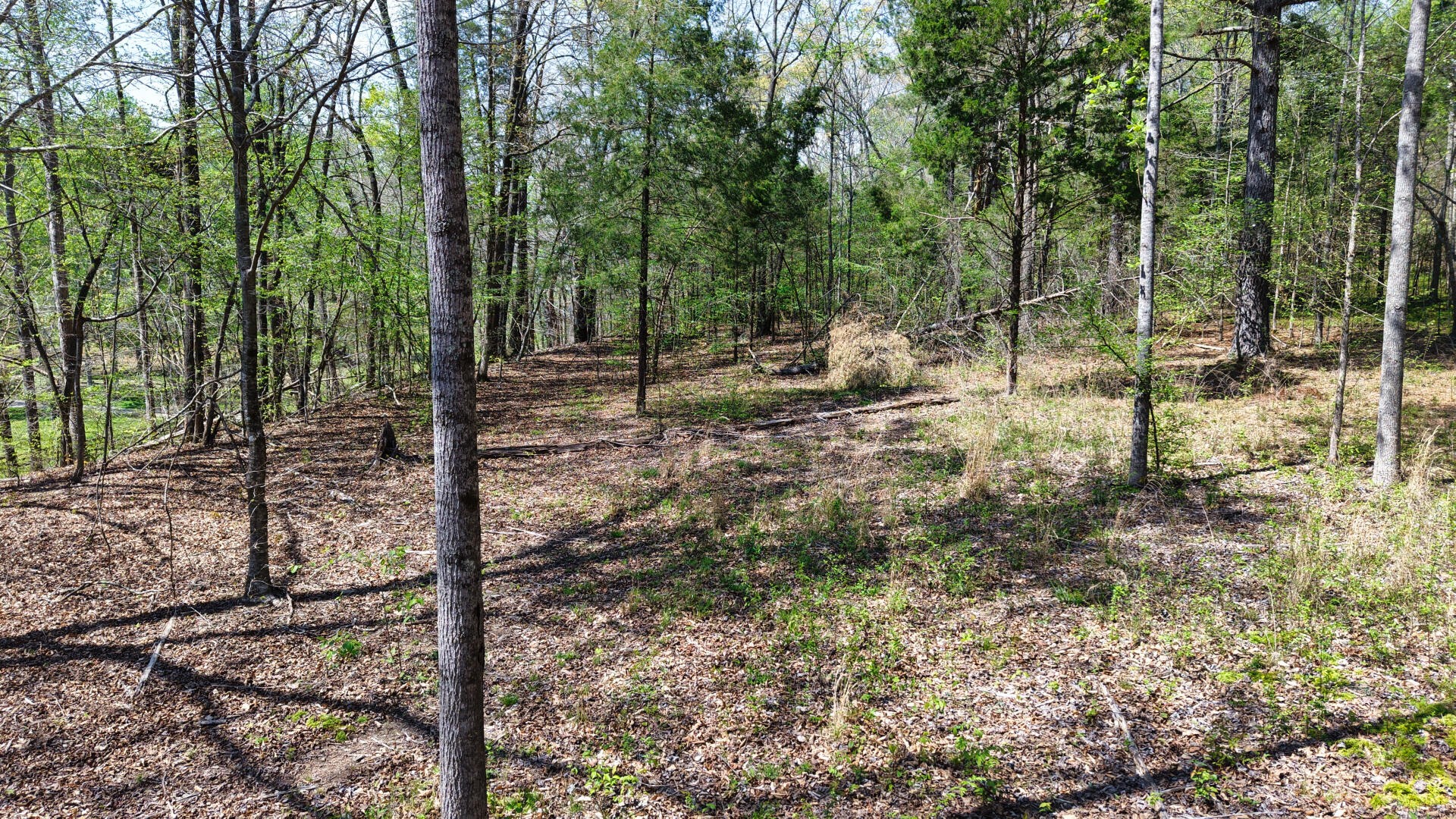 0 Brown Hollow Road Lyles, TN 37098 - Photo 14 of 18