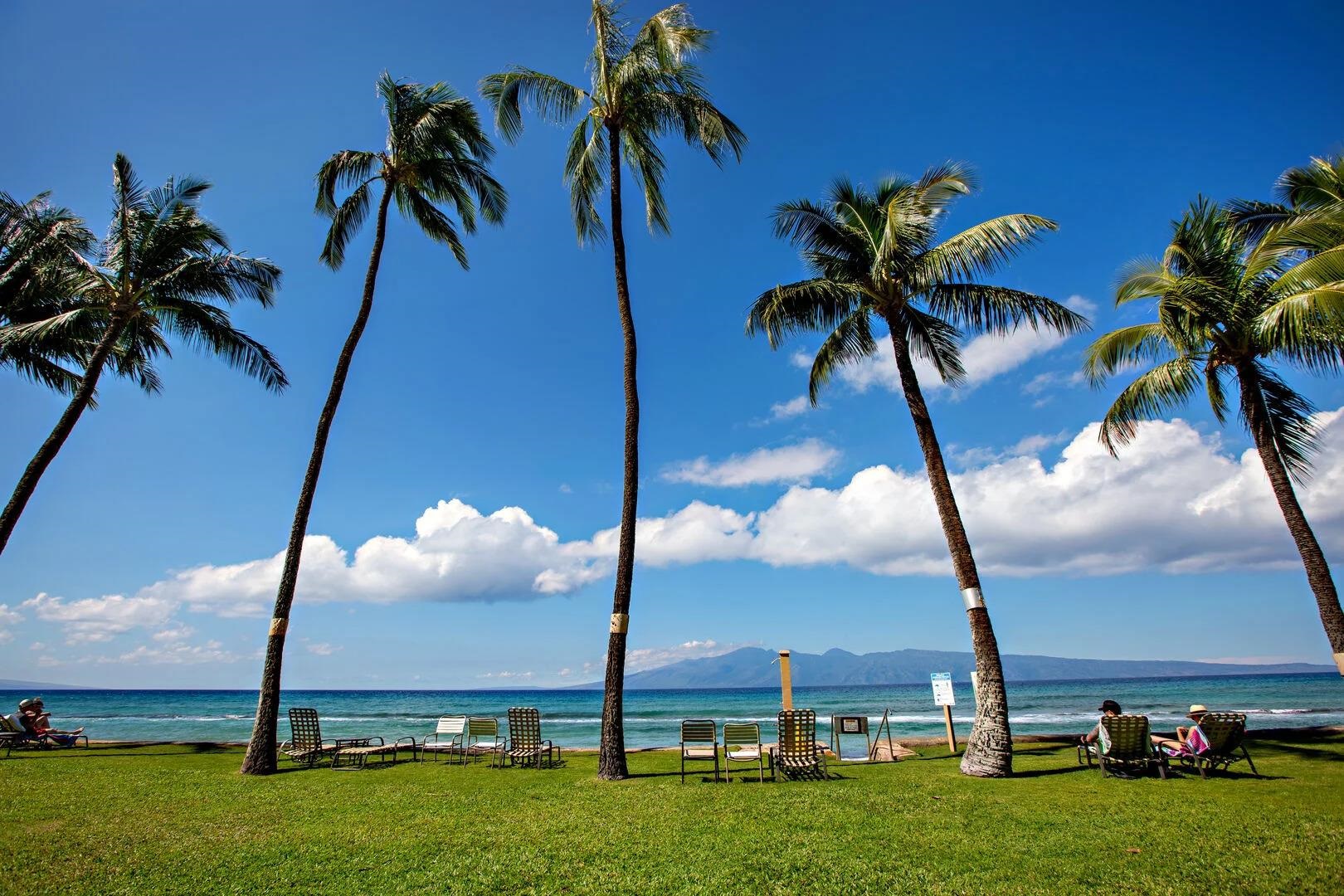 3601 Lower Honoapiilani Road, Unit 220 Lahaina, HI 96761 - Photo 29 of 29 Gallery Image 29