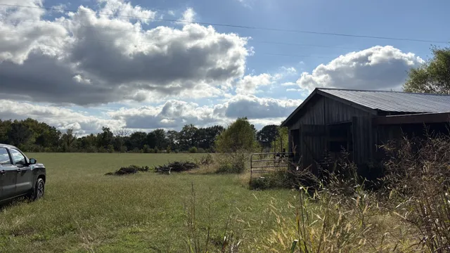 a view of a back yard