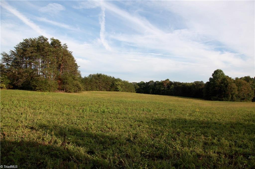 1342 Grassy Knob Road Pinnacle, NC 27043 - Photo 2 of 8