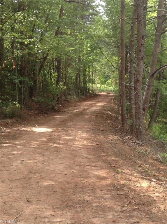 1342 Grassy Knob Road Pinnacle, NC 27043 - Photo 7 of 8
