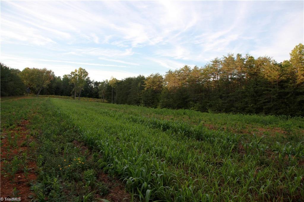 1342 Grassy Knob Road Pinnacle, NC 27043 - Photo 8 of 8