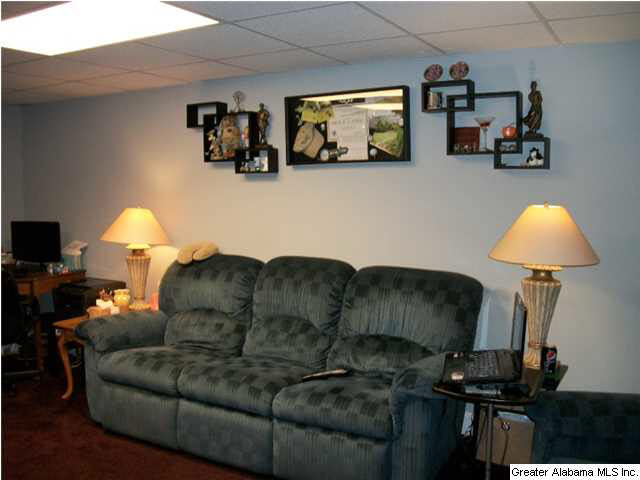 263 Meadows Drive Springville, AL 35146 - Photo 24 of 29 Gallery Image 24