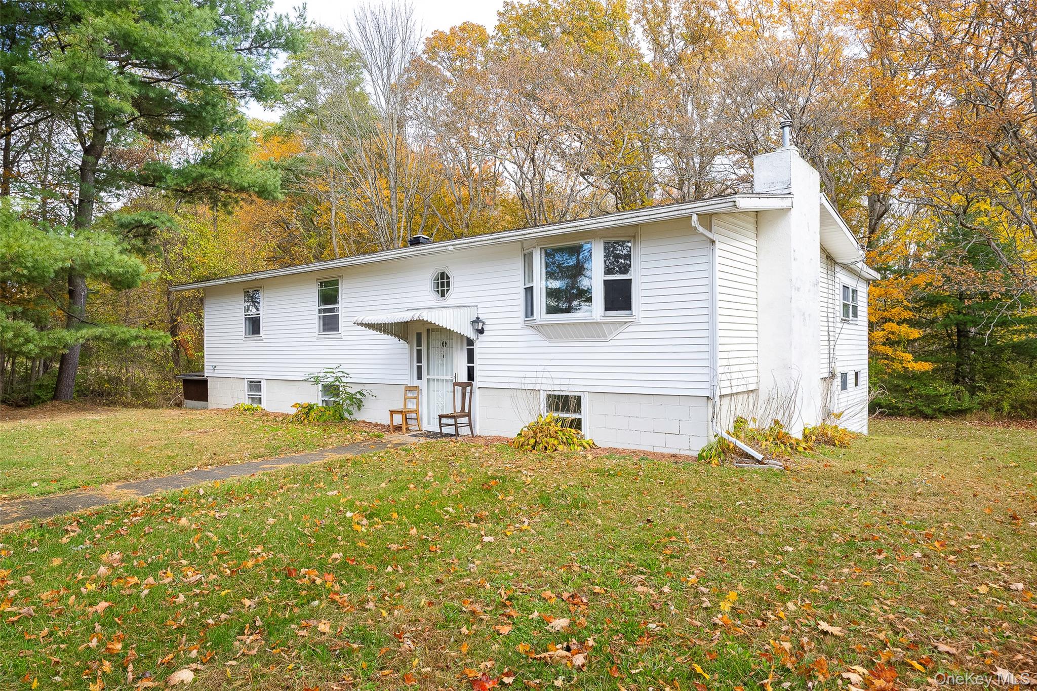 82 Lake Road Pine Plains, NY 12567 - Photo 25 of 38 a view of a backyard with plants and large tree