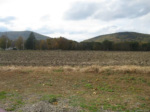 a view of outdoor space and mountain view