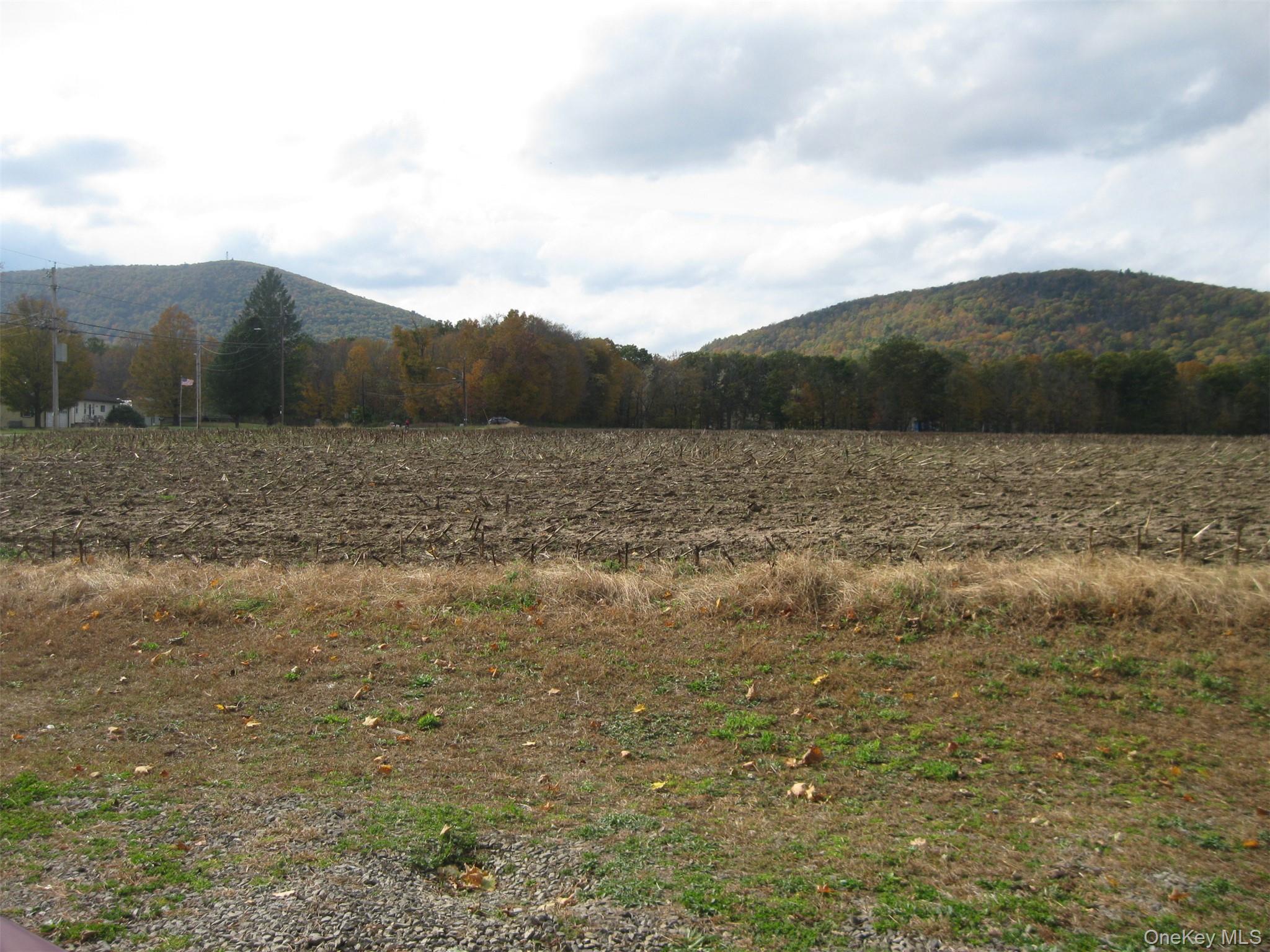 82 Lake Road Pine Plains, NY 12567 - Photo 32 of 38