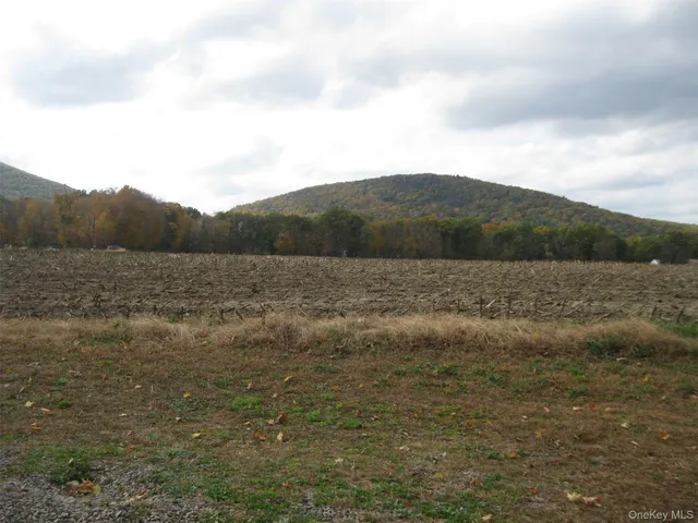 a view of an outdoor space and yard