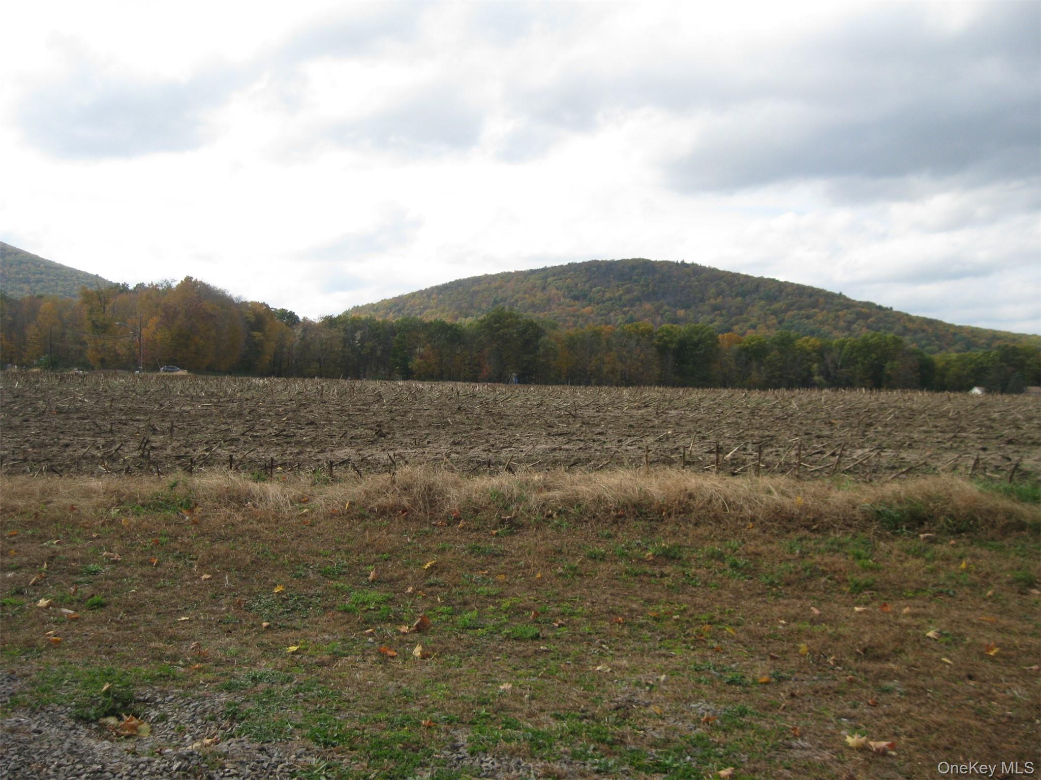 82 Lake Road Pine Plains, NY 12567 - Photo 33 of 38 a view of mountain with lake view