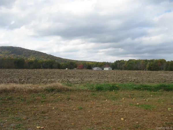 a view of outdoor space and mountain view