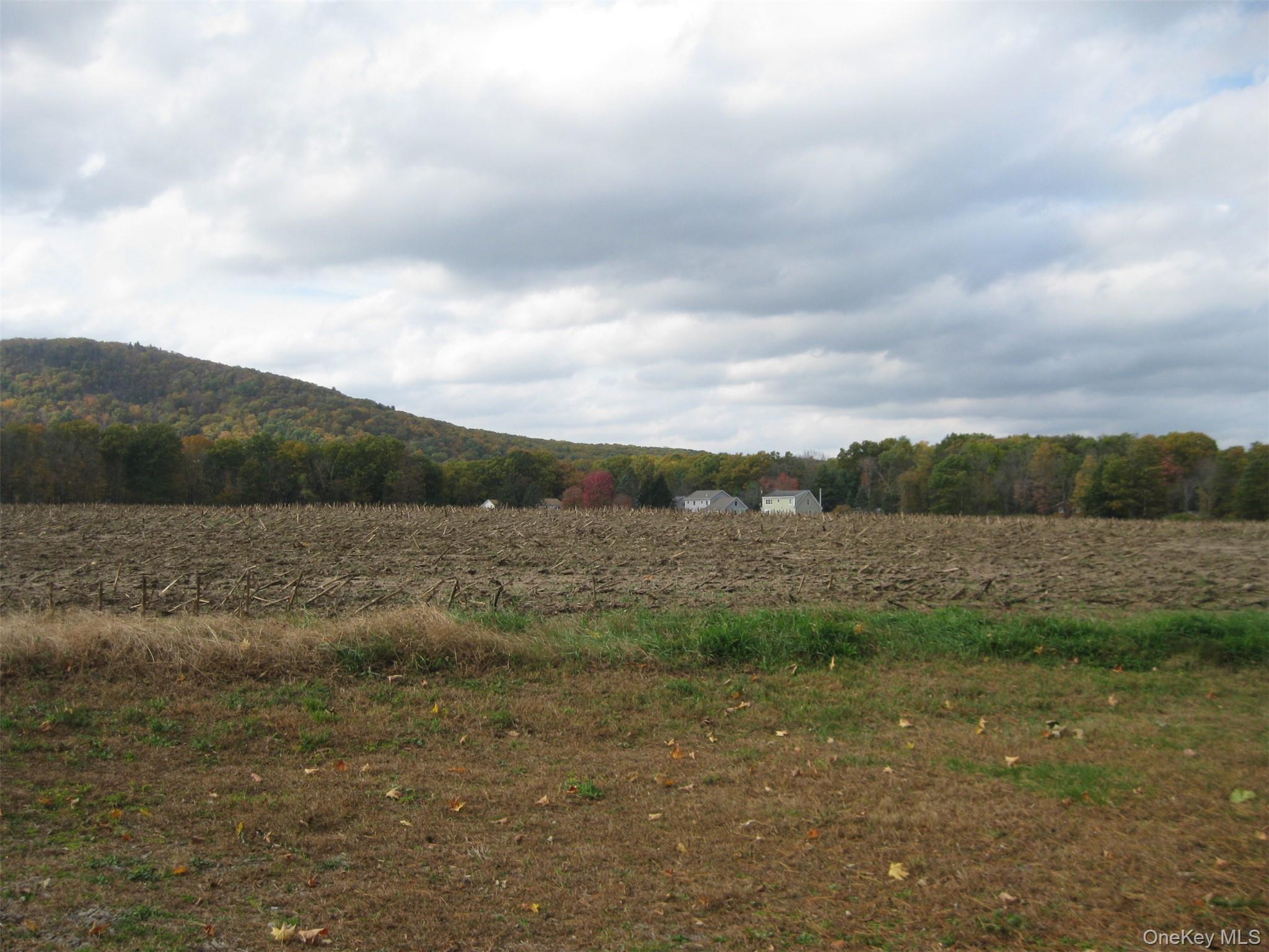 82 Lake Road Pine Plains, NY 12567 - Photo 34 of 38 a view of outdoor space and mountain view