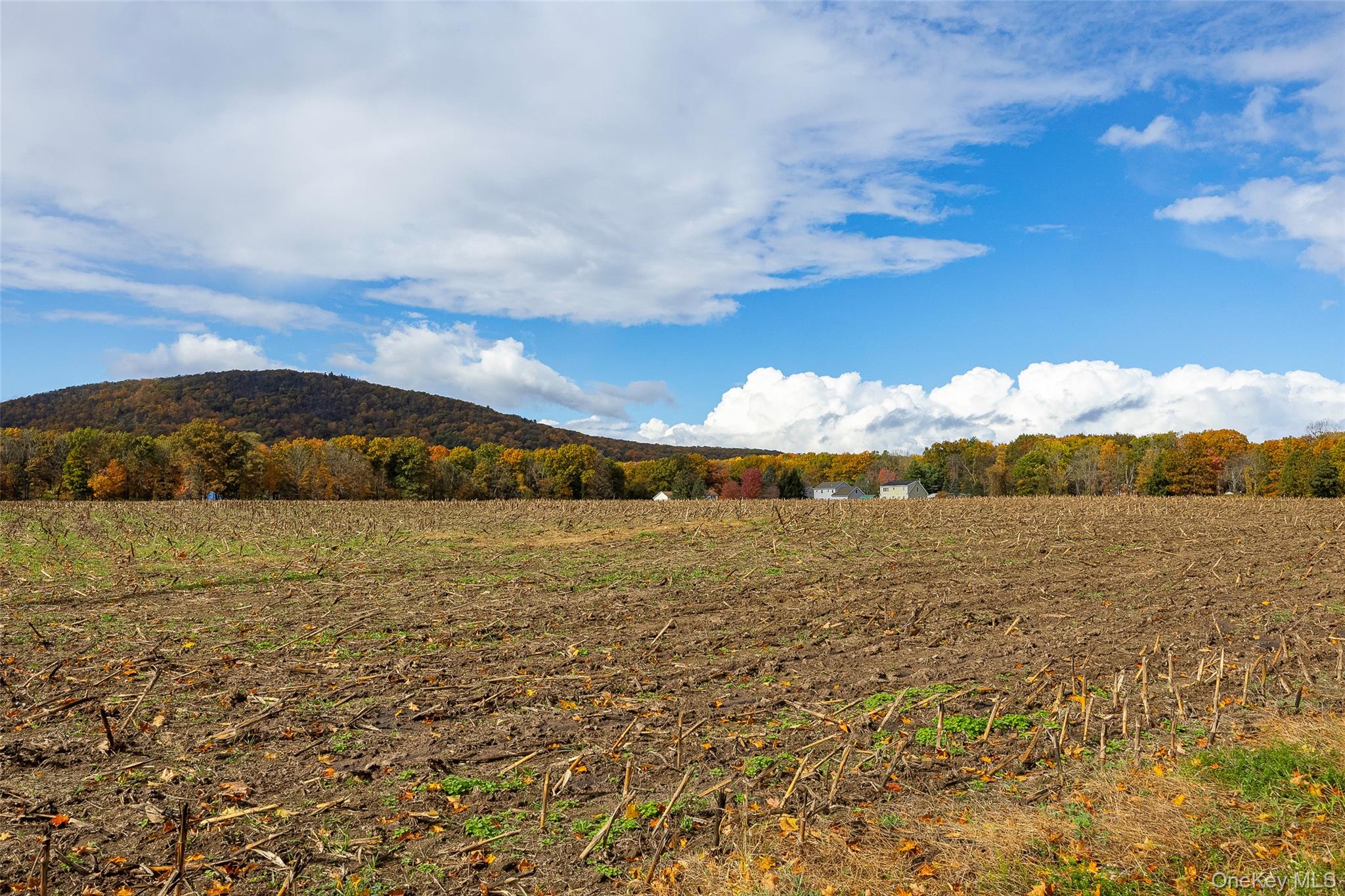 82 Lake Road Pine Plains, NY 12567 - Photo 4 of 38 a view of ocean