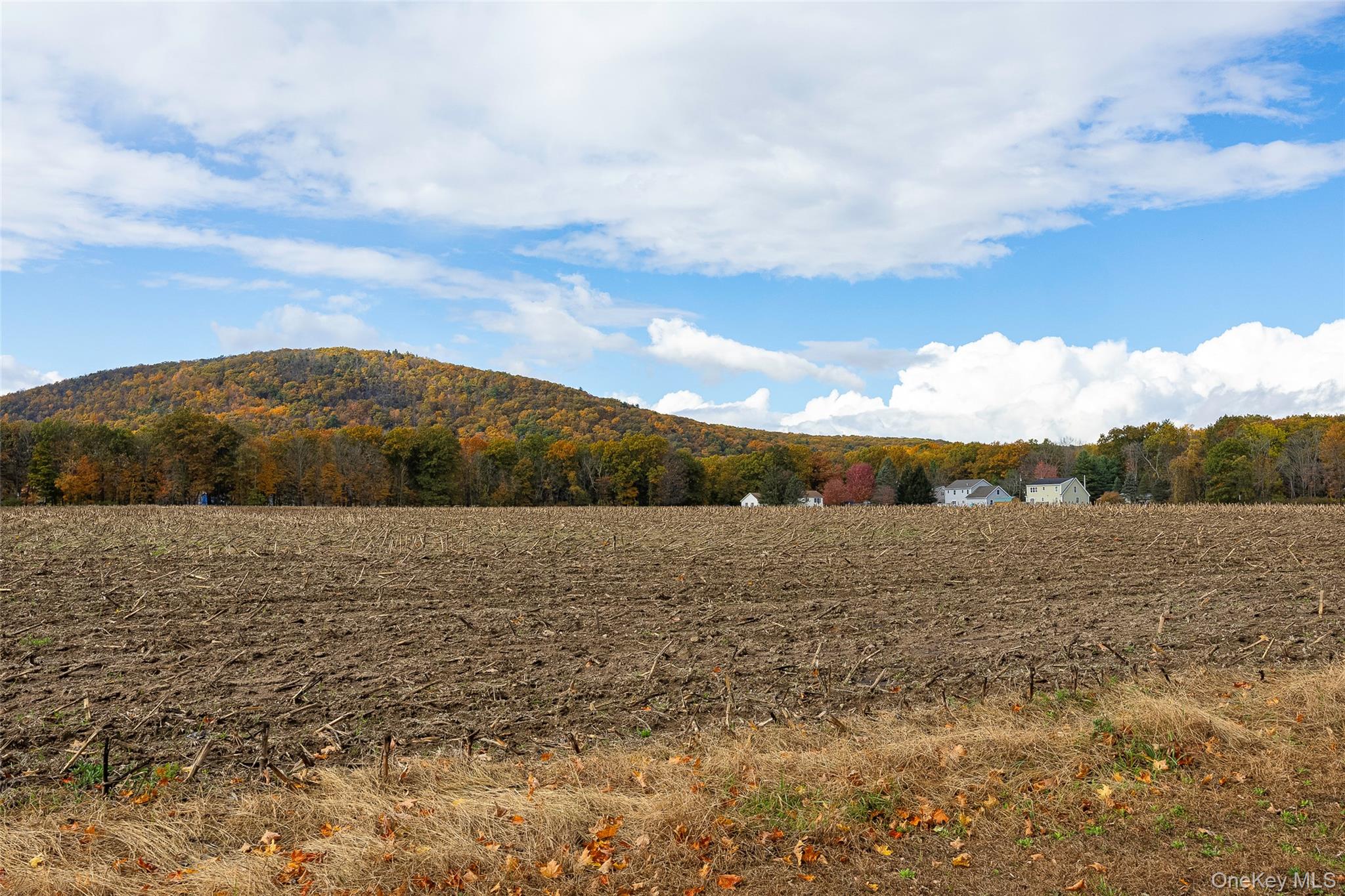 82 Lake Road Pine Plains, NY 12567 - Photo 5 of 38 a view of an ocean