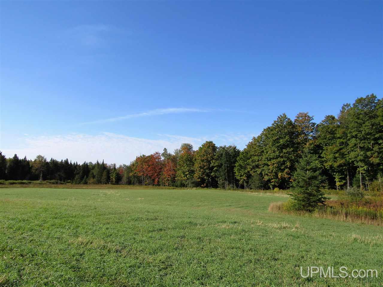 5226 Co Road Rock, MI 49880 - Photo 18 of 34