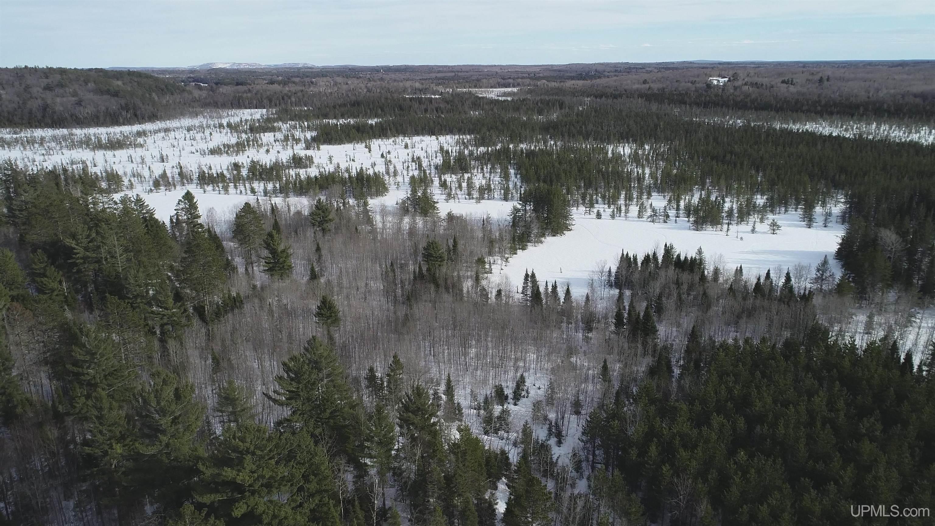 40-acres Off County Cv Road Champion, MI 49814 - Photo 23 of 45
