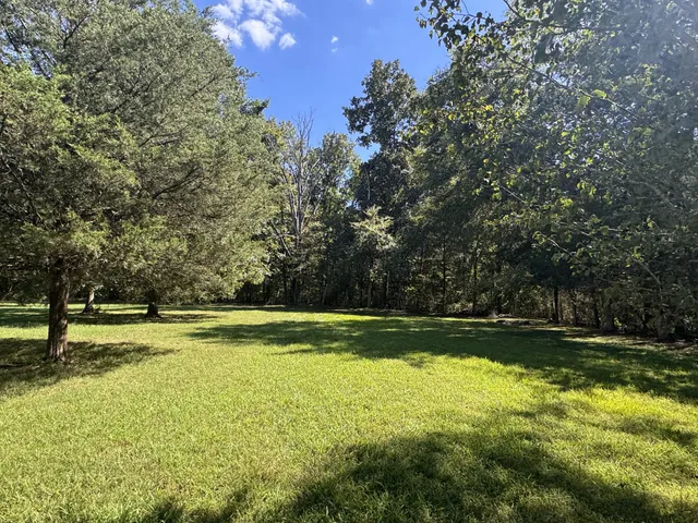 a view of a yard with trees