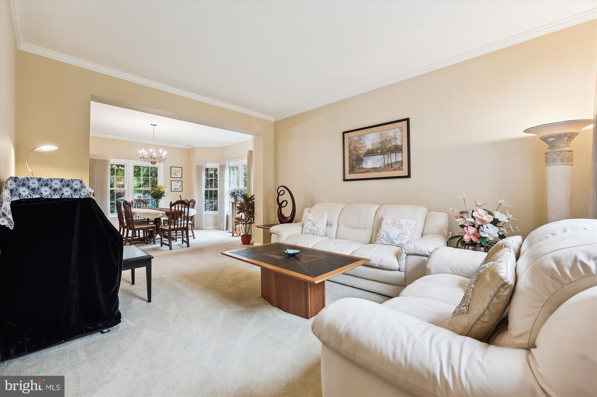18717 Severn Road Gaithersburg, MD 20879 - Photo 11 of 44 a living room with furniture and a mirror