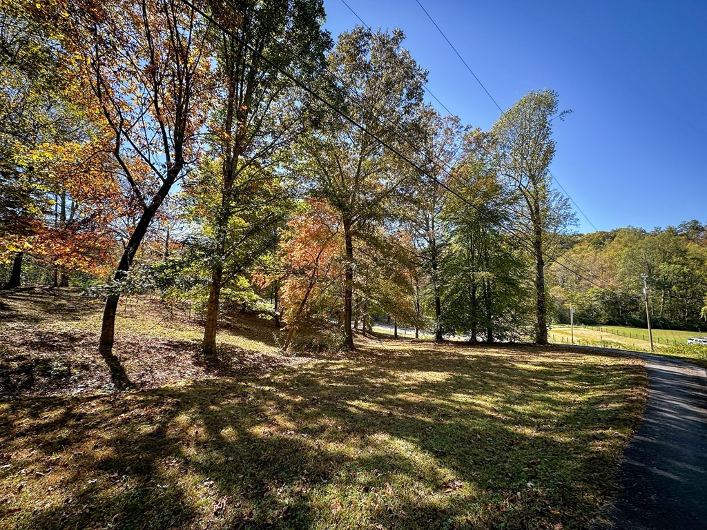 48 Jackie Cove Road Hayesville, NC 28904 - Photo 51 of 57 Gallery Image 51