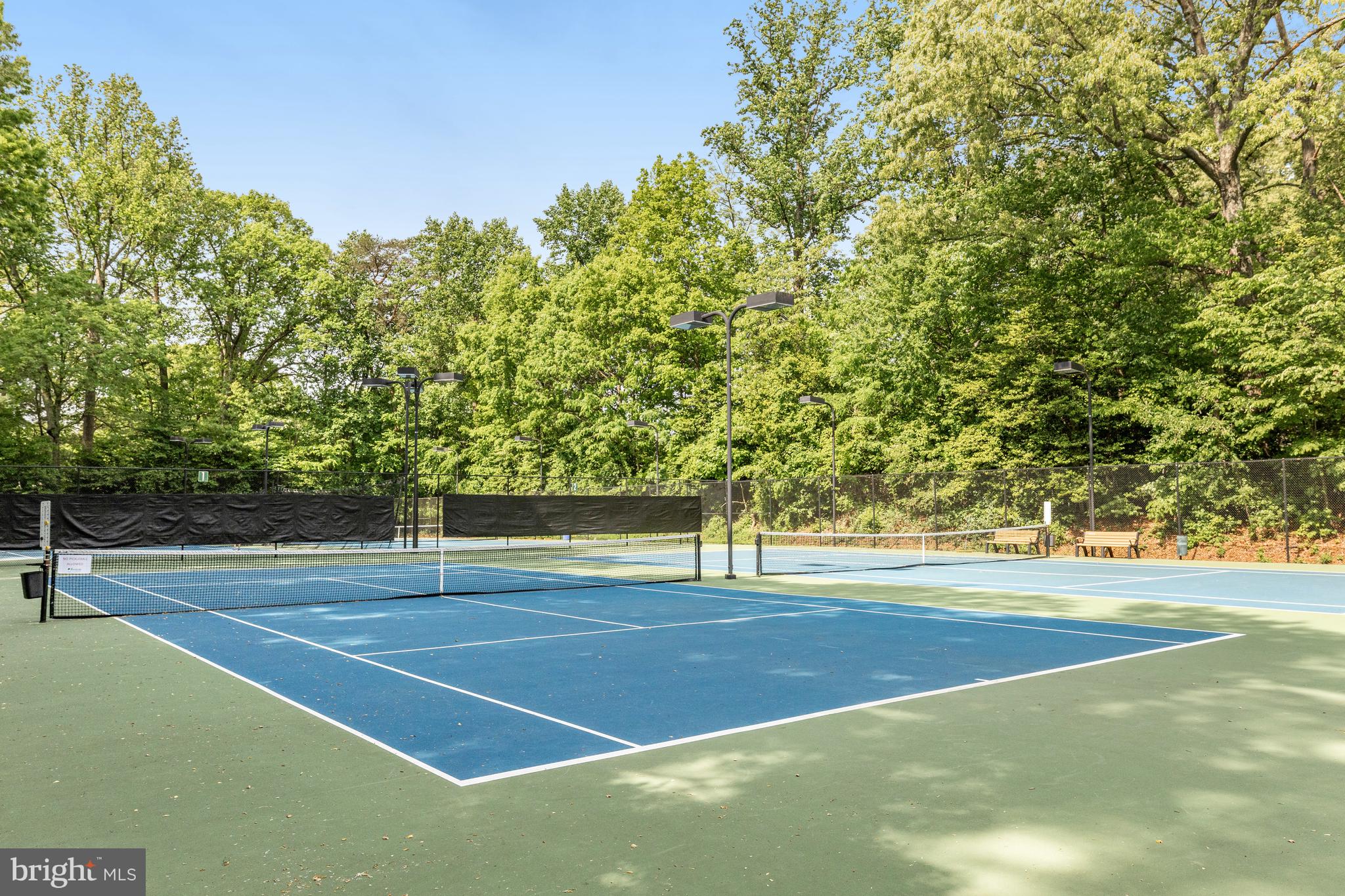 11601 Stoneview Square, Unit 21C Reston, VA 20191 - Photo 29 of 39 community tennis court