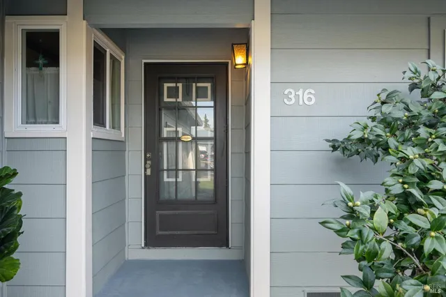a potted plant in front of a house