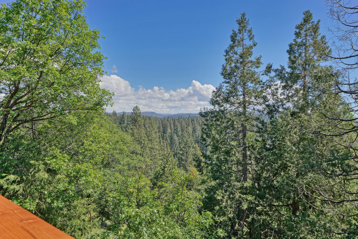 4117 Pearl Road Pollock Pines, CA 95726 - Photo 40 of 47