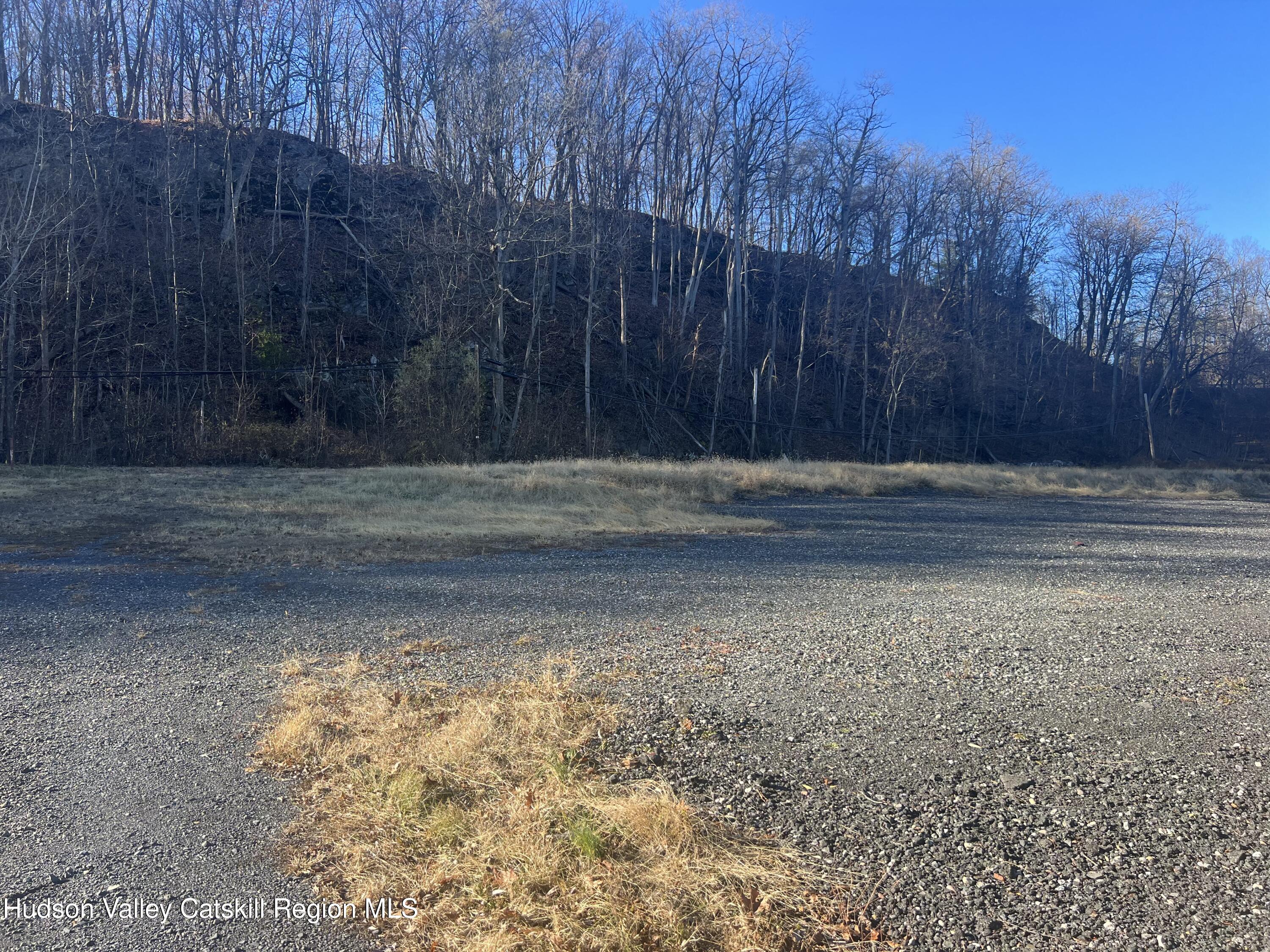 0 Flatbush Road Kingston, NY 12401 - Photo 4 of 7 a view of a yard