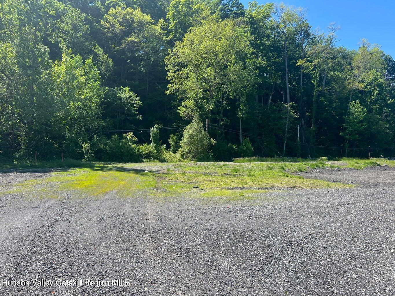 0 Flatbush Road Kingston, NY 12401 - Photo 5 of 7 a view of a swimming pool with a yard